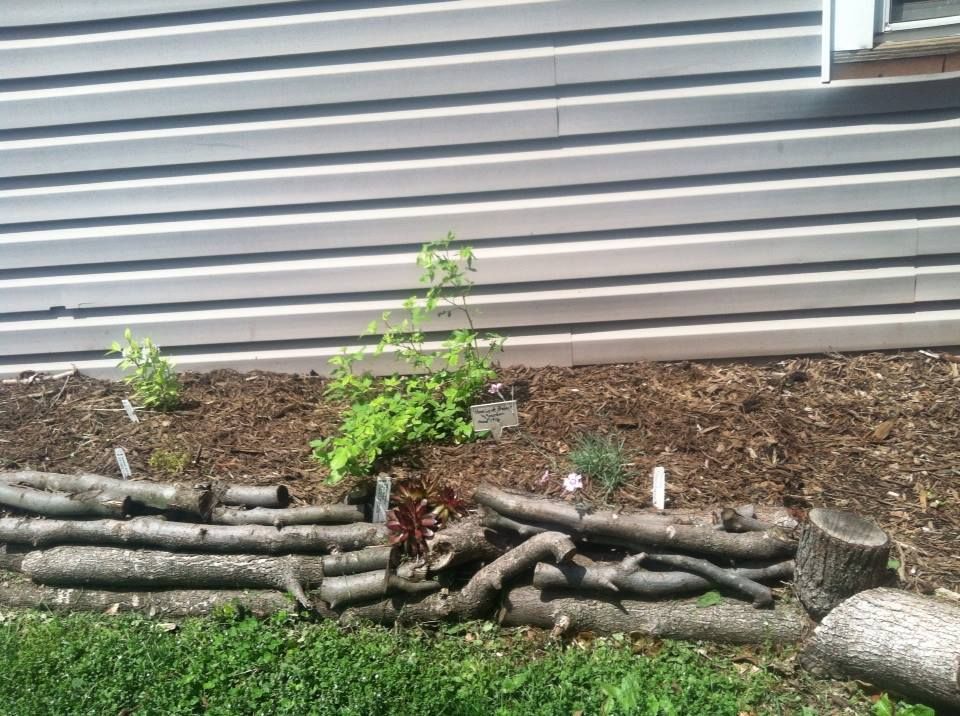  photo 10334341_10152103585702285_2074691948281194144_n.jpg